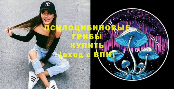 дмт Горно-Алтайск