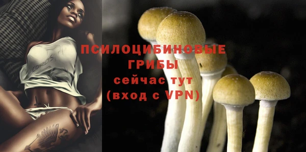 прущие крисы Горнозаводск