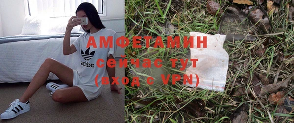 дмт Горно-Алтайск