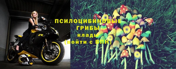 прущие крисы Горнозаводск