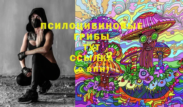 прущие крисы Горнозаводск