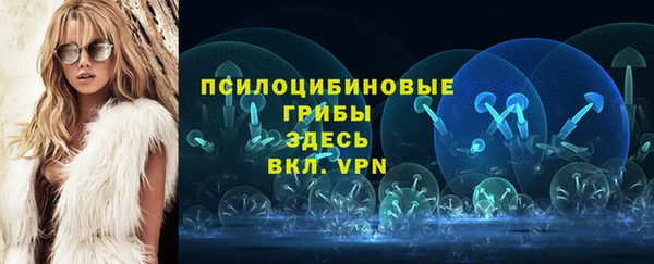 марки lsd Горняк