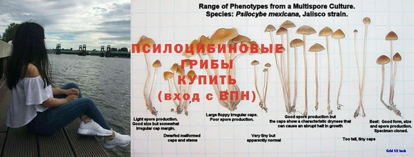 марки lsd Горняк
