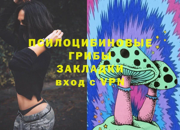 марки lsd Горняк