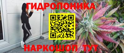 сатива Лесосибирск