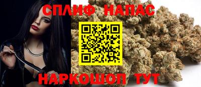 сатива Лесосибирск