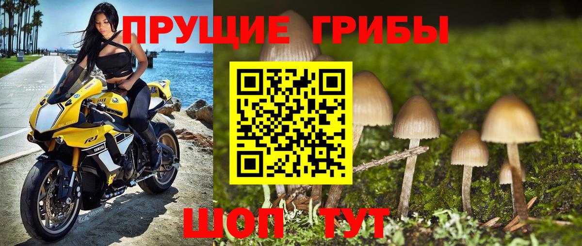 Кимры  Псилоцибиновые грибы GOLDEN TEACHER  Вход с VPN 