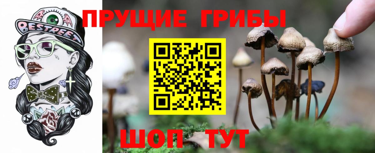 Галлюциногенные грибы MAGIC MUSHROOMS Кимры